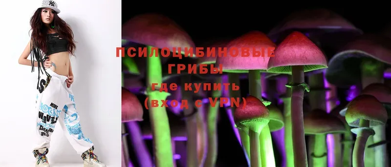 darknet официальный сайт  Нефтеюганск  Галлюциногенные грибы Psilocybine cubensis 